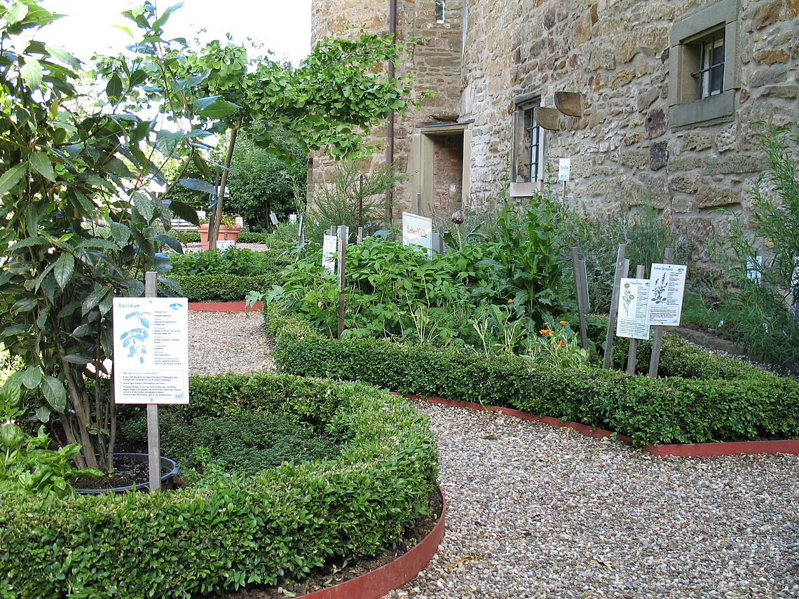 Die Pflanzen im Öhringer Heilkräutergarten sind durch Schildchen beschriftet.