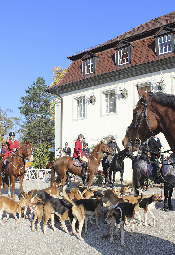 Hubertusjagd in Friedrichsruhe. Reiter und Hundemeute haben sich vor dem Wald und Schlosshotel versammelt.