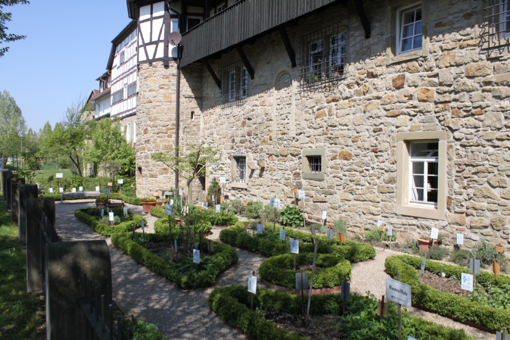 Kleine Beete des Öhringer Heilkräutergartens an der Stadtmauer sind zu sehen.