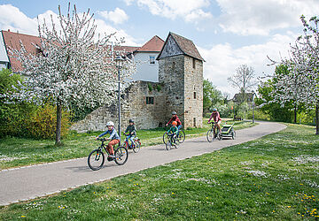 Radfahrer im Frühling an der Öhringer Stadtmauer