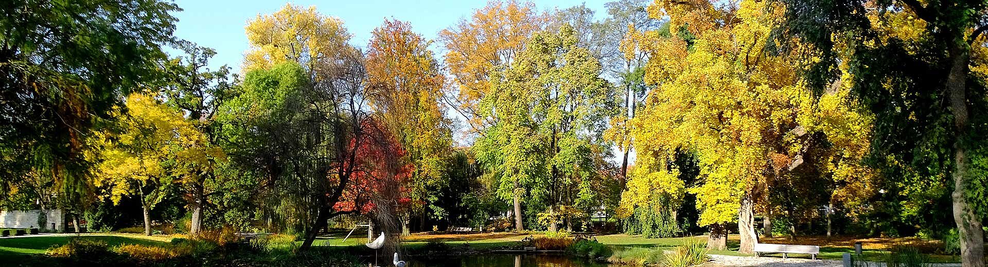 Der Teich im Öhringer Hofgarten mit herbstlichen Bäumen ist zu sehen.