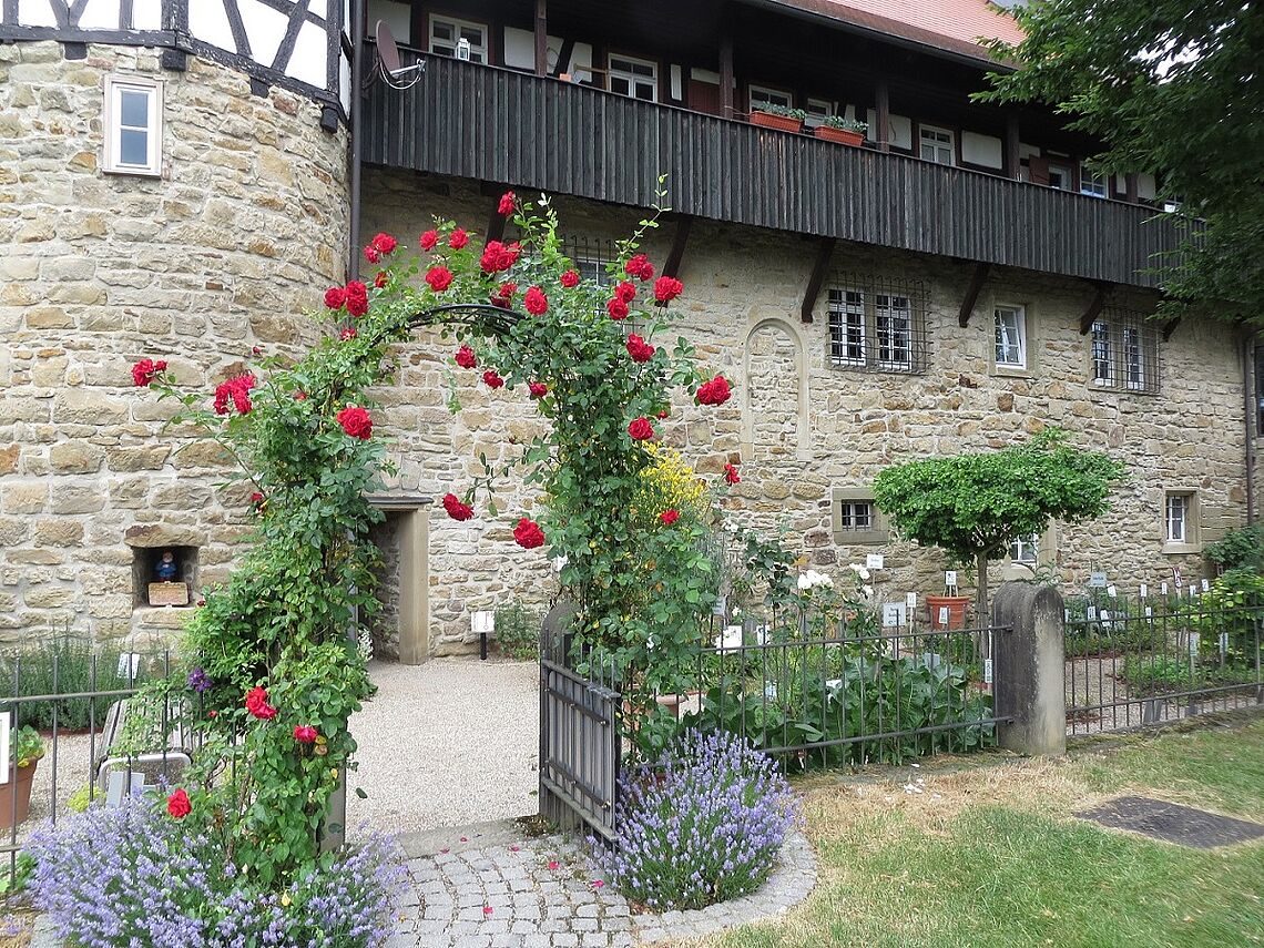Der Eingang des Öhringer Heilkräutergartens ist von roten Rosen umrankt.