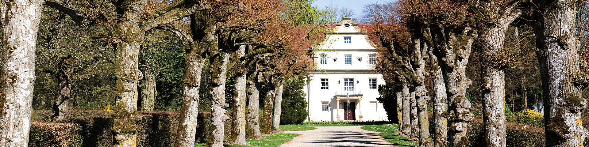 Ein weißes Gebäude, das Jagdschloss in Zweiflingen-Friedrichsruhe, ist am Ende einer Allee zu sehen.