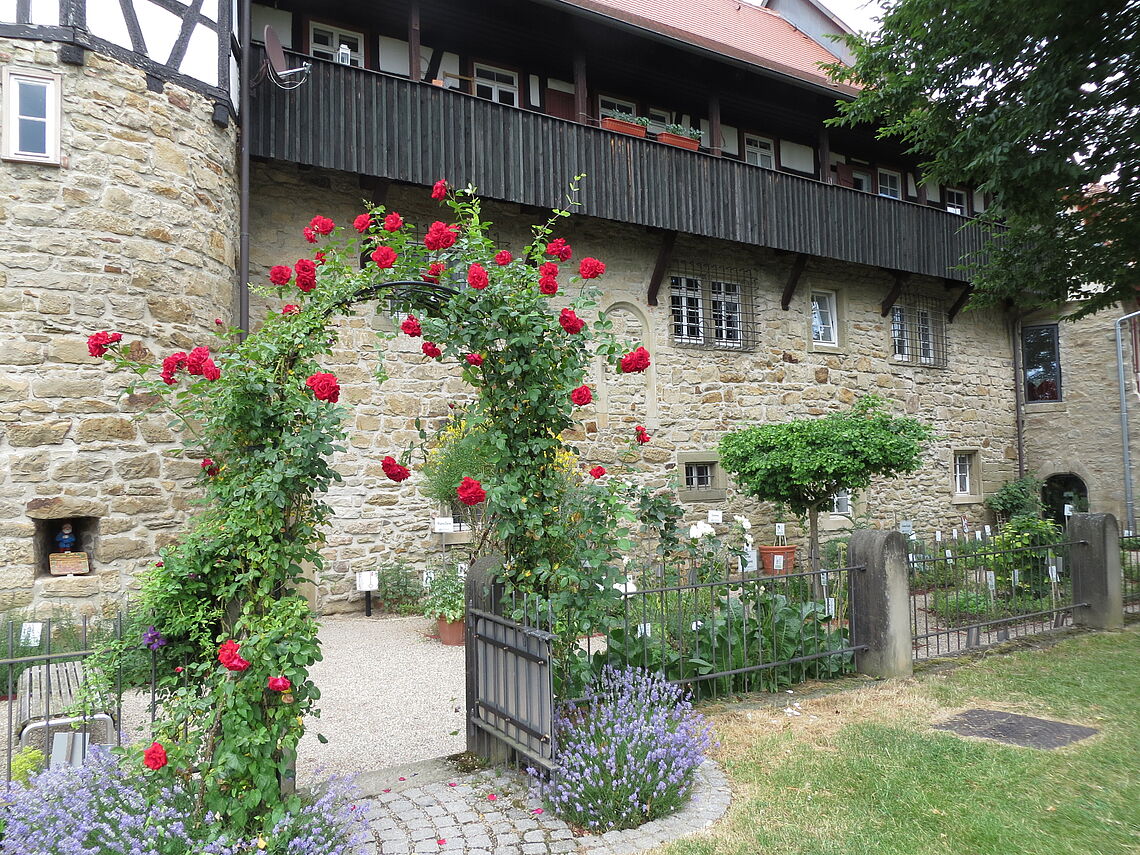 Der Eingang des Öhringer Heilkräutergartens ist mit roten Rosen umrankt.